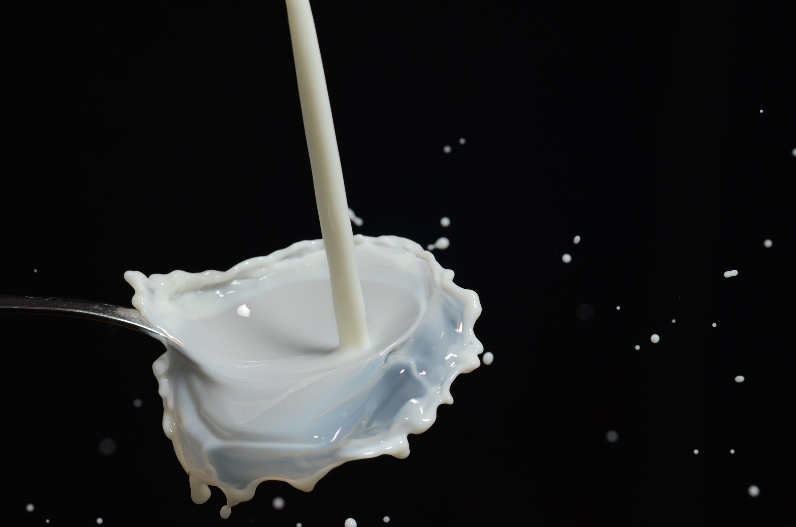 Intolerância à lactose: como conviver com essa condição?