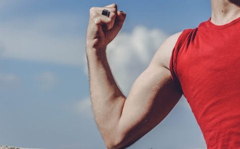Hipertrofia Muscular: o guia completo para ganhar músculos